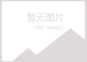 九江庐山夏日金属有限公司